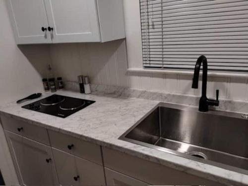a kitchen with a sink and a counter top at MidTown Art Deco in Reno