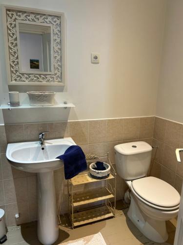 une salle de bain avec un lavabo, des toilettes et un miroir dans l'établissement Moissac14, à Eymet