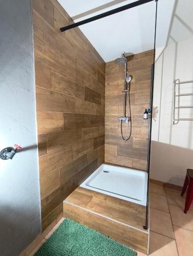 a shower with a glass door in a bathroom at Gîte des trois petits oiseaux in Picarreau