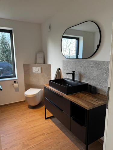 Un baño con lavabo, inodoro y espejo. en Ferienhaus Gipfelstürmer, en Ascheffel