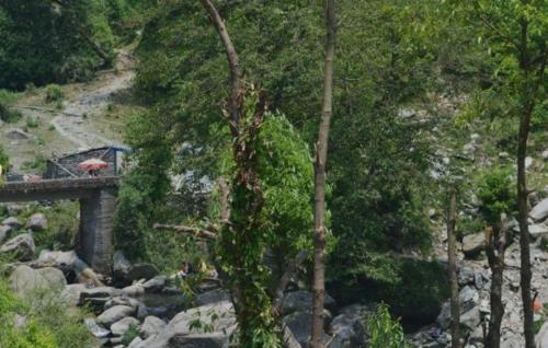 a train on a bridge over a river with trees at Hotel Victoriya Palace,Mcleod Ganj in McLeod Ganj