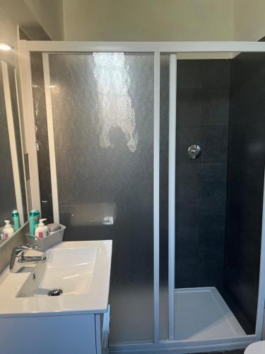 a bathroom with a shower and a sink at B&B La Villetta in Piacenza
