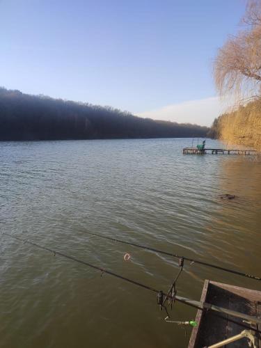 a view of a lake with a fishing rod in the water at Erdőszéli Apartman in Szőce