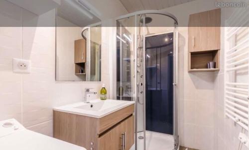 La salle de bains est pourvue d'un lavabo et d'une douche. dans l'établissement Studio face Mer, à Saint-Jean-de-Monts