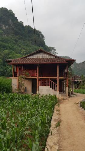a house in a field of crops next to a dirt road at Kim in Thổng Khào