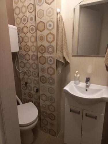 a small bathroom with a toilet and a sink at Сјајни лешник in Zrenjanin