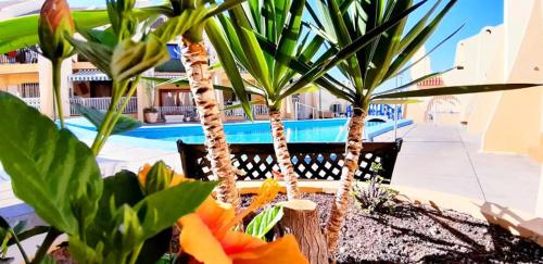 SUNNY POOL PATIO - 2 bedrooms 2 baths