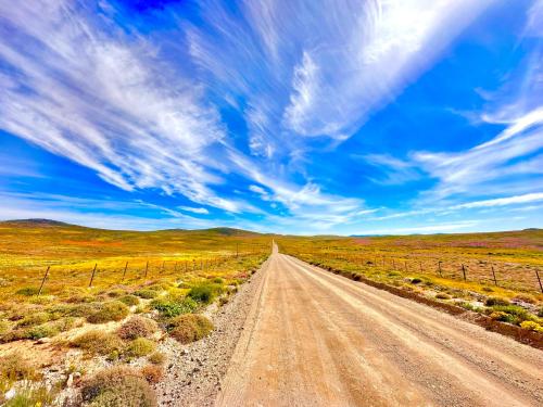 an empty dirt road in the middle of a field at Kliprand Guest House in Springbok