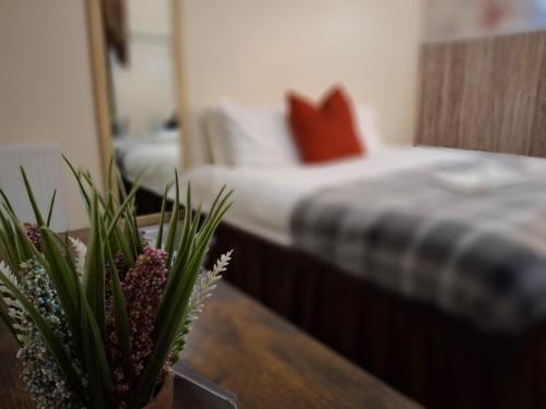 a bedroom with a bed with a red pillow and a plant at The Green Light House Studio 24 - Free Private Parking in Portsmouth