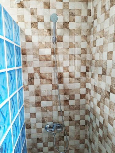 a shower with a shower head in a bathroom at Mesana playa in Cartagena