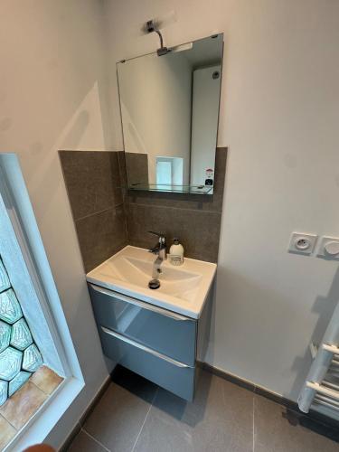une salle de bain avec un lavabo et un miroir dans l'établissement Appartement T3 rénové cœur de St Priest Parking Privé, à Saint-Priest