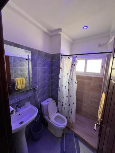 Ένα μπάνιο στο Fadi Appartement F4