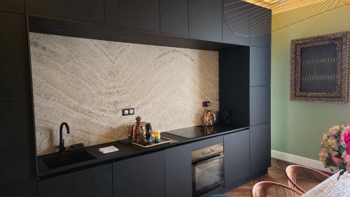 une cuisine avec un évier et un plan de travail dans l'établissement Sublime duplex 75m² Villa classée, à Vichy