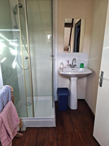 une salle de bain avec un lavabo et une douche dans l'établissement Boumelle Gites, à Allonnes