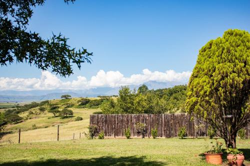 a wooden fence and a tree in a field at Tranquility Farmstays in Winterton