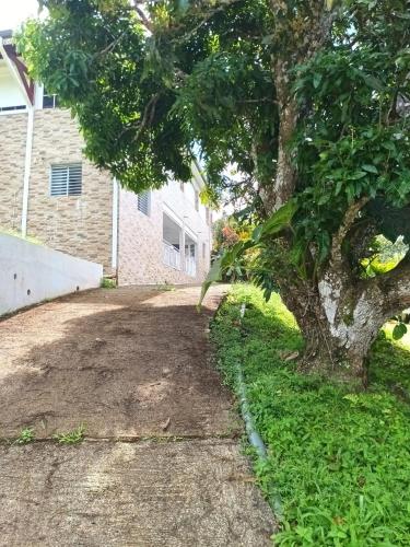 a driveway with a tree in front of a house at Belle location vue sur mer in Deshaies