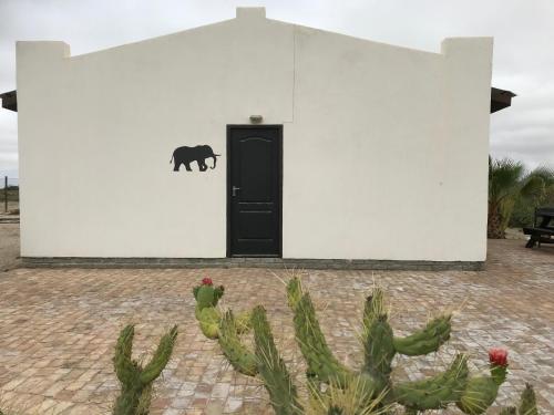 Φωτογραφία από το άλμπουμ του Sophia Dale Base Camp σε Swakopmund