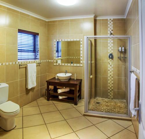 a bathroom with a shower and a toilet and a sink at Lalapanzi Guest Lodge in Gqeberha
