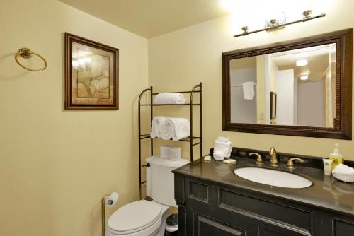 a bathroom with a sink and a toilet and a mirror at Buttercup Snow Summit Condo by Big Bear Vacations in Big Bear Lake