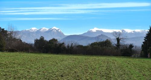 un champ avec des montagnes enneigées en arrière-plan dans l'établissement Lou Cigalou - Au Calme - Grand Jardin - Piscine Partagée - Parking - Campagne et Idéalement Situé Proche A7 et Montélimar, à Sauzet