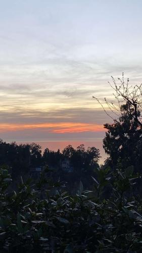 a sunset in the sky with trees in the foreground at Beqa Hous in Tsikhisdziri