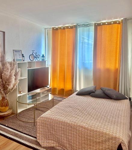 une chambre avec un lit et une télévision dans l'établissement Le Saint Jaumes parking inclus, à Montpellier