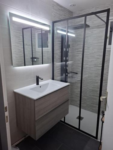 une salle de bain avec un lavabo et une douche dans l'établissement Maison 8 personnes au bord de l'étang, au Barcarès