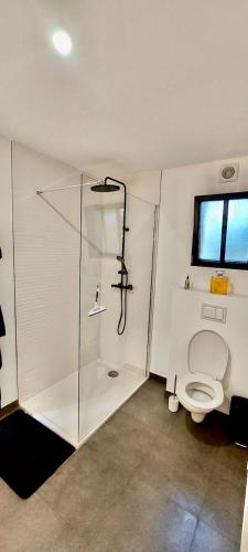 une salle de bain avec douche et toilettes dans l'établissement Charmante maison en bois- Lège Cap ferret, à Lège-Cap-Ferret