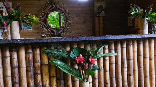a wall of bamboo with a plant on it at YAY Sustainable in Guachaca