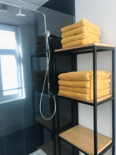 ein Badezimmer mit einem Handtuchhalter und einer Dusche in der Unterkunft Weekend 18 in Ronse