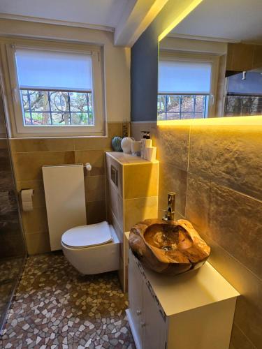 a bathroom with a wooden sink and a toilet at Marburg Apartment feuriger Felix mit Kamin und Garten in ruhiger Waldrandlage in Marburg an der Lahn