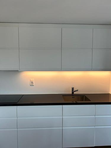 Η κουζίνα ή μικρή κουζίνα στο BASELiving Luxury Suite - Near ESC - Bahnhof SBB - St Jakob