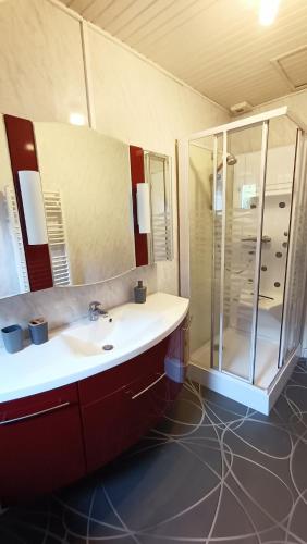 une salle de bain avec un lavabo et une douche dans l'établissement Maison de bourg magique de 1860, à Loguivy-Plougras