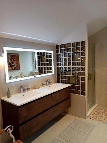 une salle de bain avec un lavabo, un miroir et une douche dans l'établissement Bien être et détente chez côté campagne et jardin, à Ohnenheim