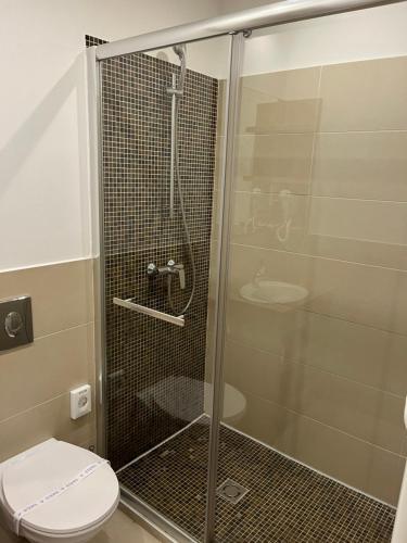 Kúpeľňa v ubytovaní Mirabell Apartments