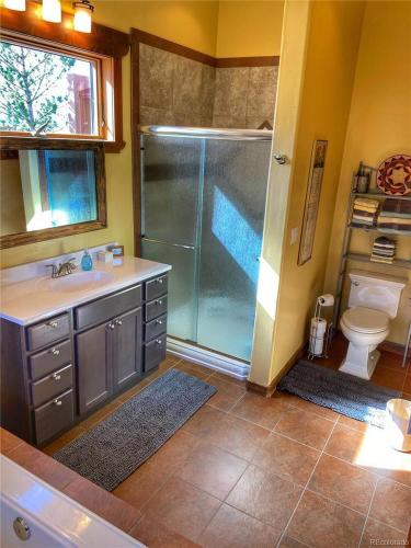 a bathroom with a shower and a toilet and a sink at Mountain View Room & Bath in Crestone
