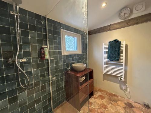 La salle de bains est pourvue d'une douche, d'un lavabo et d'une douche en verre. dans l'établissement Maison d'hôtes L'ormerie- Au coeur de la ville médiévale, à Provins