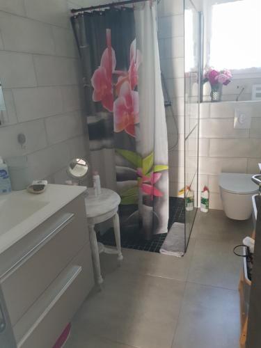 une salle de bain avec un rideau de douche et des toilettes dans l'établissement Villa Noel, à Calenzana