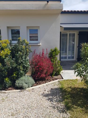 une maison avec des plantes à fleurs devant elle dans l'établissement Villa Noel, à Calenzana