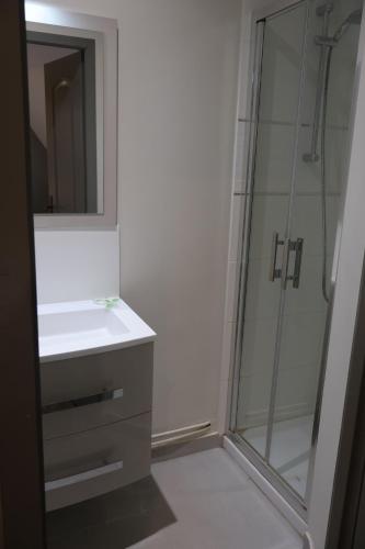 a bathroom with a sink and a glass shower at Domaine La Grande Bruyère in Touffréville