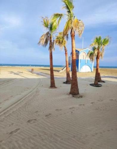 a group of palm trees on a sandy beach at Les mobil homes de Naka, 6 places, TV, CLIM in Port-la-Nouvelle