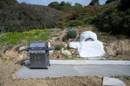 a grill with a skull behind it in a garden at Anthos Residence 2 in Kefalos