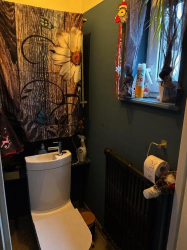 a bathroom with a white toilet and a window at Chez Tiina in Colmar