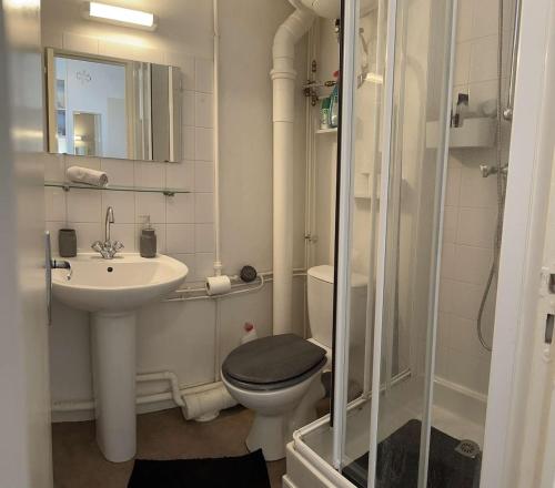 une salle de bain avec toilettes, lavabo et douche dans l'établissement Bright and renovated 2-room apartment, Center, à Vitry-le-François