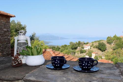 Dream Home with Magic View in Lafkos