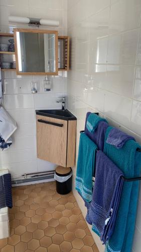 La salle de bains est pourvue de serviettes bleues et d'un lavabo. dans l'établissement Appartement bord de mer Palavas, à Palavas-les-Flots