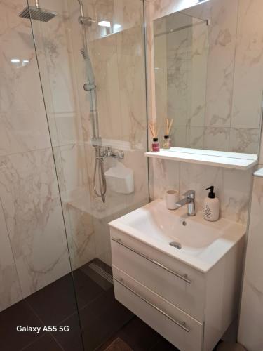 Kúpeľňa v ubytovaní Studio apartma Franca