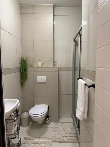 a bathroom with a toilet and a sink at Vijas Haven in Windhoek