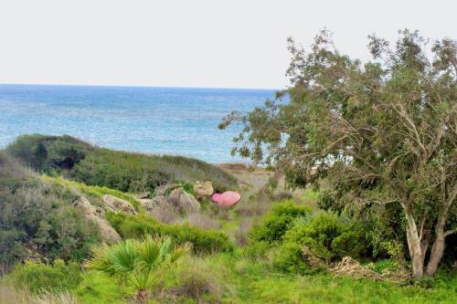 a field with rocks and trees and the ocean at Sea Sight Vibes in Frangokastello