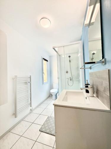 Un baño con lavabo, ducha e inodoro. en Studio confort - Portet-sur-Garonne, en Portet-sur-Garonne